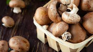 Und frische pilze aus eigenem anbau schmecken einfach besser als im supermarkt gekaufte. So Machen Pilze Keine Bauchschmerzen