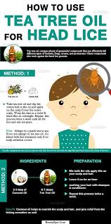 Tea Tree Oil For Lice Does It Work With Images Tea Tree Oil Uses Tea Tree Oil For Acne Tea Tree Oil