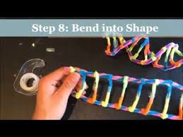 Science Project How To Make A Dna Model Using Pipecleaners Project Demonstration Youtube Dna Model Project Dna Project Dna Model