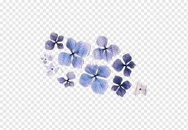 This is an annual plant, used in dried arrangements frequently beautifully blue freeze dried thistle heads, perfect for wiring to add into dried flower arrangements pink/purple dried rose buds. Purple Dried Flowers Purple Dried Flowers Decoration Png Pngwing