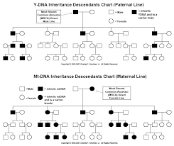 Charts For Understanding Dna Inheritance Family Locket