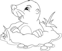 Hundreds of free spring coloring pages that will keep children busy for hours. Mole Coloring Page Clipart 1 566 198 Clip Arts