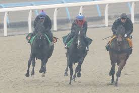 Uma musume pretty derby is a multimedia franchise created by cygames. å…±åŒé€šä¿¡æ¯å…±åŒé€šä¿¡æ¯ ï¼'æˆ¦ï¼'å‹ãƒ€ãƒŽãƒ³ã‚­ãƒ³ã‚°ãƒªãƒ¼ãŒã•ã‚‰ã«ä¸Šæ˜‡ ã‚¹ãƒãƒ‹ãƒ Sponichi Annex ã‚®ãƒ£ãƒ³ãƒ–ãƒ«