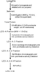 Lingzhi Oligopeptides Amino Acid Sequence Analysis And Anticancer Potency Evaluation Rsc Advances Rsc Publishing