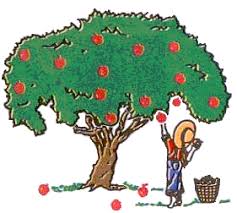 Maybe you would like to learn more about one of these? 99 Kartun Gambar Pohon Apel Cikimm Com