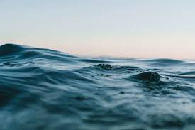 If you love the beach and ocean, i hope that you've enjoyed these quotes and have found some inspiration. 85 Beautiful Ocean Quotes Ocean Captions With Pics