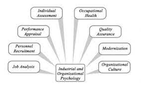 Define industrial and organizational (i/o) psychology. The Role Of Industrial And Organizational Psychology In The Workplace