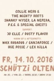 Die oltner musikerinnen und sängerinnen dominique. Collie Herb Bambus Releaseparty Mx3 Ch