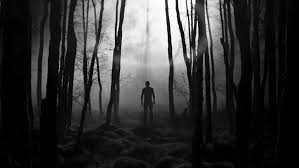 A Year In The Country