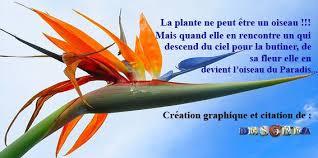 Epingle Sur Poesie