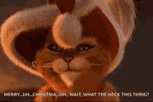 Shrek cat eyes mode on #shrekcateyes #guineapigs #cute #englishself. Shrek Cat Gifs Tenor
