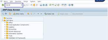 If you intend to use the sql methods, please ensure that it is done on dev/qa . Sap Basis Unlock User