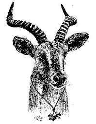 5562423 Orig Jpg 312 402 Wood Badge Badge Wood