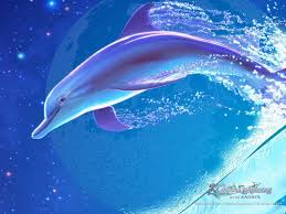 Check spelling or type a new query. Cute Dolphin Wallpapers Top Free Cute Dolphin Backgrounds Wallpaperaccess