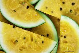 Was steht im schlafzimmer von seinen eltern? Melonenarten Von A Z 12 Melonensorten Bestimmen Mit Bildern