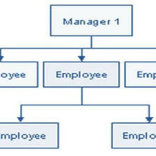 Companies With Narrow Span Of Control Download Scientific