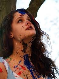 Taylor Dolan's Instagram, Twitter & Facebook