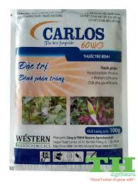 Carlos 60WG