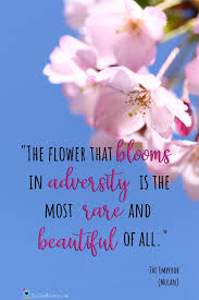 Flower in adversity mulan quote print. Top 10 Disney Motivational Monday Quotes Sip Dash Savor