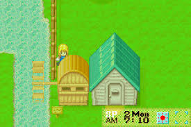 Audiobooks, podcasts & audio stories. Harvest Moon More Friends Of Mineral Town Download Gamefabrique