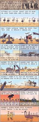 The Emu War Veritable Hokum Emu War Australia Funny Emu