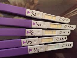 Clear Blue Ovulation Test Getting Pregnant Babycenter