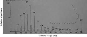 Image result for Oreosyce africana