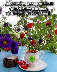Orbitoare Obezitate In Timp Ce MarÈ›i DimineaÈ›Äƒ Decor De CasÄƒ Sitecoreconsultants Com
