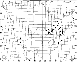 Image result for Sphenostylis