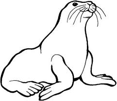 Patriotic coloring pages are fun, but they also help kids develop many important skills. 40 Seal Coloring Pages Ideas Coloring Pages Coloring Pictures Online Coloring
