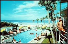 Vintage Postcard Reef Beach Motel Daytona Beach Travel Photos Coastal Travel Travel