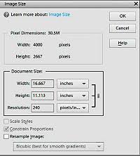 How To Resize An Image In Photoshop Without Losing Quality Shortcut Resize Images In Adobe Photoshop Elements
