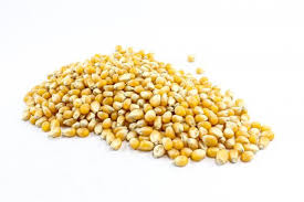 Yes, unpopped snack also tends to spoil. Organic Popcorn Bulk Popcorn Australia The Source Bulk Foods