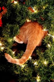 26 cat christmas ornaments to decorate your tree this holiday season. Christmas Decorations For Cat Lovers Love Ferplast