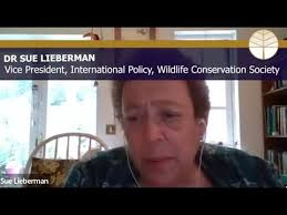 Civil Society and COP16: How can civil society organisations make the most  of the CBD COP?