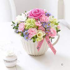 We did not find results for: Phoolwala Com A Twitter Order Flowers Gifts Cakes From Phoolwala It Is The Largest Florist Delivery Shop In India Fresh Flowers Birthday Flowers Next Day Flowers Https T Co Lejm2ezrlt Https T Co Vboefzgad1