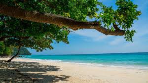 Koh lanta is delightfully exotic, thanks to its remote location, pristine beaches and balmy weather. Koh Lanta Holidays Book For 2021 2022 With Our Koh Lanta Experts Today