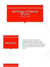 Histology of Dermis by ABDULLAH Azeem