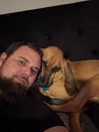 BlueTick Coonhound and Bloodhound dog appreciation