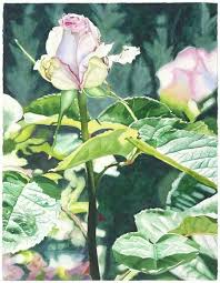 Watercolor By Cara Brown Rose Painting Watercolor Artwork Watercolor Rose