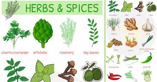 list of herbs and spices names of spices and herbs 7 e s l