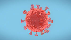 Some have favored vaccinating as many people as possible as quickly as possible, while others have tried to prioritize vaccinating specific. There Are Four Types Of Covid 19 Vaccines Here S How They Work Youtube