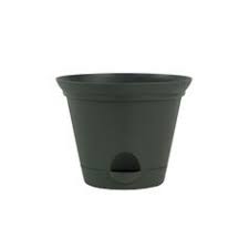 Misco home & garden green resin watering can, 56 oz. 53 Plastic Flower Bowls Ideas Flori GrÄƒdinÄƒ
