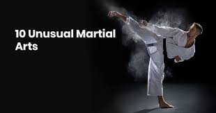 10 Unusual Martial Arts Punchprime