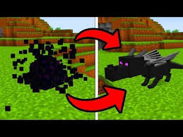 How To Hatch The Ender Dragon Egg Ps3 Xbox360 Ps4 Xboxone Wiiu Youtube Dragon Egg Minecraft Minecraft Ps4