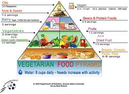 Vegetarian Balanced Diet Chart Body Building Advisor