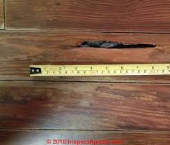 Check spelling or type a new query. Wood Floor Repair Faqs 2 Fix Stained Loose Squeaky Buckled Wood Flooring