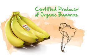 Ecuador is one of the world's top banana producers, ranked 5th with an annual production of 8 million tonnes (6% of world production) as of 2011. Ecuador