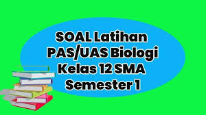 Soal Dan Jawaban Pilihan Ganda Kunci Jawaban Nomor 1 Sampai 40 Uas Pas Biologi Sma Kelas 12 Tribun Manado