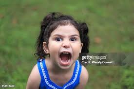 3,659 Wendy Young Stock Photos, High-Res Pictures, and Images